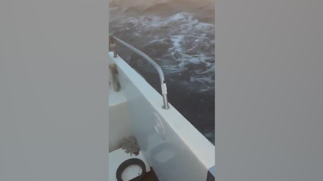 Dos marineros en Cantabria pasan uno de los peores momentos de su vida al ser atacados por dos orcas: la secuencia es aterradora