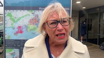 Sheryll Murray makes comment on Tamar tolls
