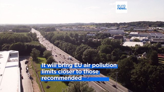 EU governments adopt tougher air pollution limits, with reservations