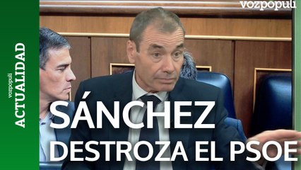 "Pedro Sánchez ha destrozado el PSOE"