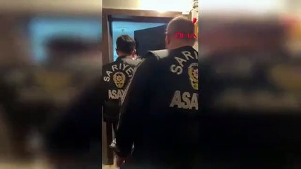 İstanbul- Sarıyer'de organik bostan uyuşturucu tarlası çıktı