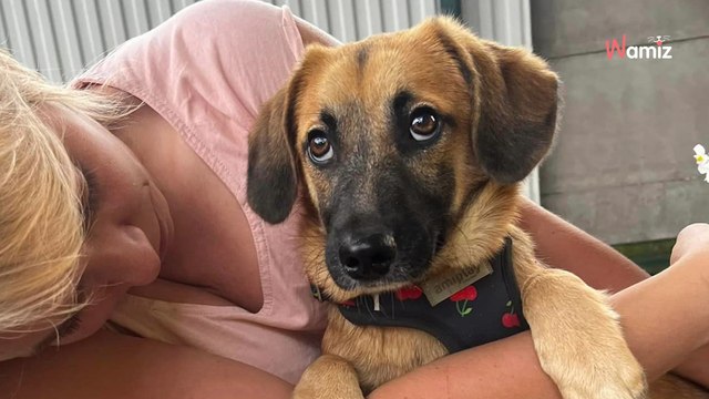Trusio znał tylko ciemność i strach. Teraz nie chce schodzić z rąk, tylko w nich czuje się bezpiecznie (video)