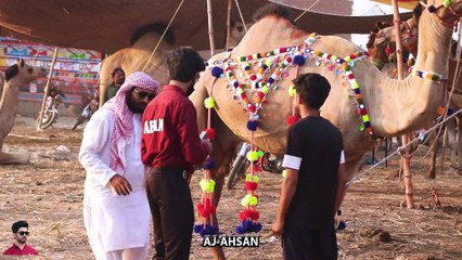 Bakra Eid prank On Mandi, Funny Prank Pakistan India