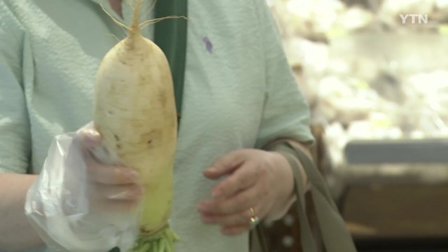 배추·무·상추·시금치 여전히 '고공행진'...배추 1포기 32%↑ 8,635원 / YTN