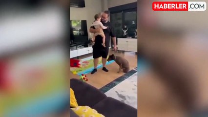 "Jahrein" lakaplı Ahmet Sonuç hakkında 3 yıla kadar hapis talebi
