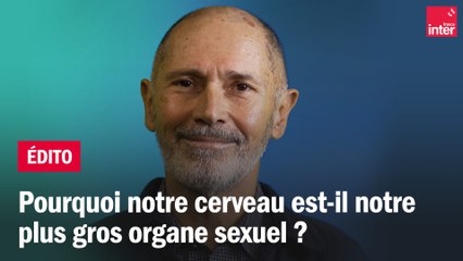 Pourquoi notre cerveau est-il notre plus gros organe sexuel ?