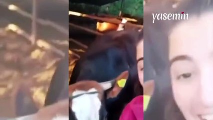 İneğiyle selfie çekmek için adıyla seslendi: "Meltem hadi selfie çekelim"