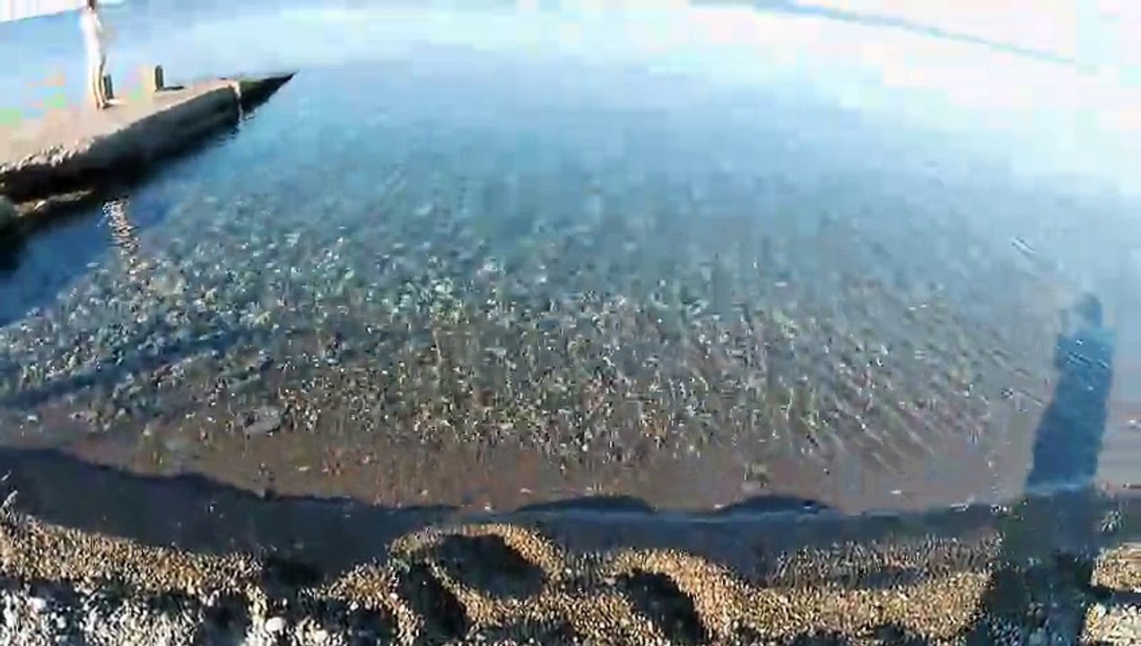 Морская вода как в Пицунде на пляже Чайка 1