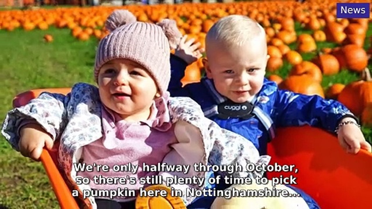 Mansfield and Ashfield Chad Morning Update 15 October, 2024