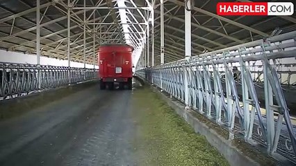 Türkiye'nin ünlü markası Sütçü Yusuf Çiftliği konkordato ilan etti