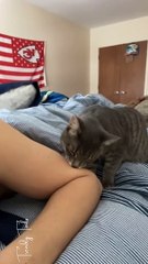 Just a Little Taste Test