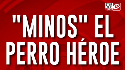 Gracias al perro "Minos" incautaron gran cantidad de droga de una camioneta
