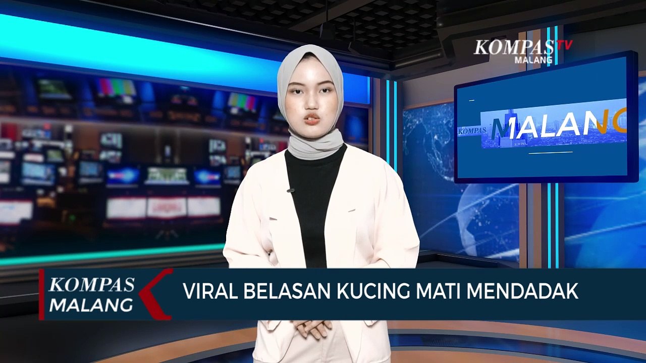 Belasan Kucing di Malang Mati Mendadak, Diduga Keracunan