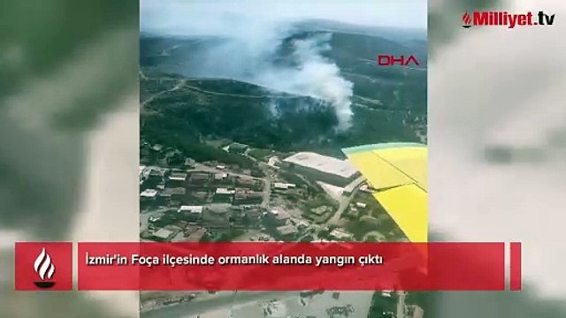 İzmir Foça'da ormanlık alanda yangın çıktı! Havadan karadan müdahale