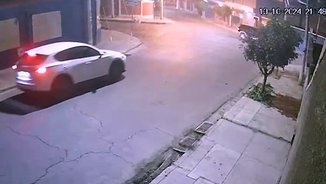 Video: ¡Ni las mascotas se salvan! Roban un can Yorkshire Terrier en plena avenida américa