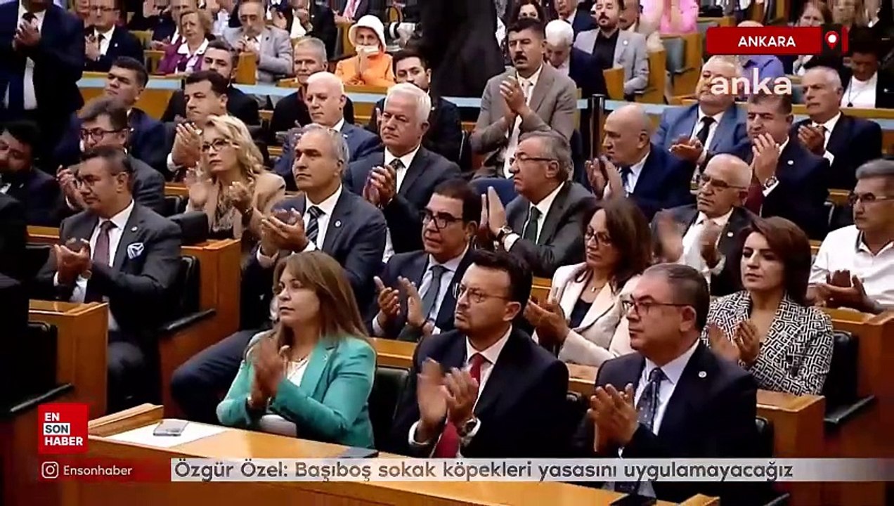 Özgür Özel: Başıboş sokak köpekleri yasasını uygulamadık, uygulamayacağız