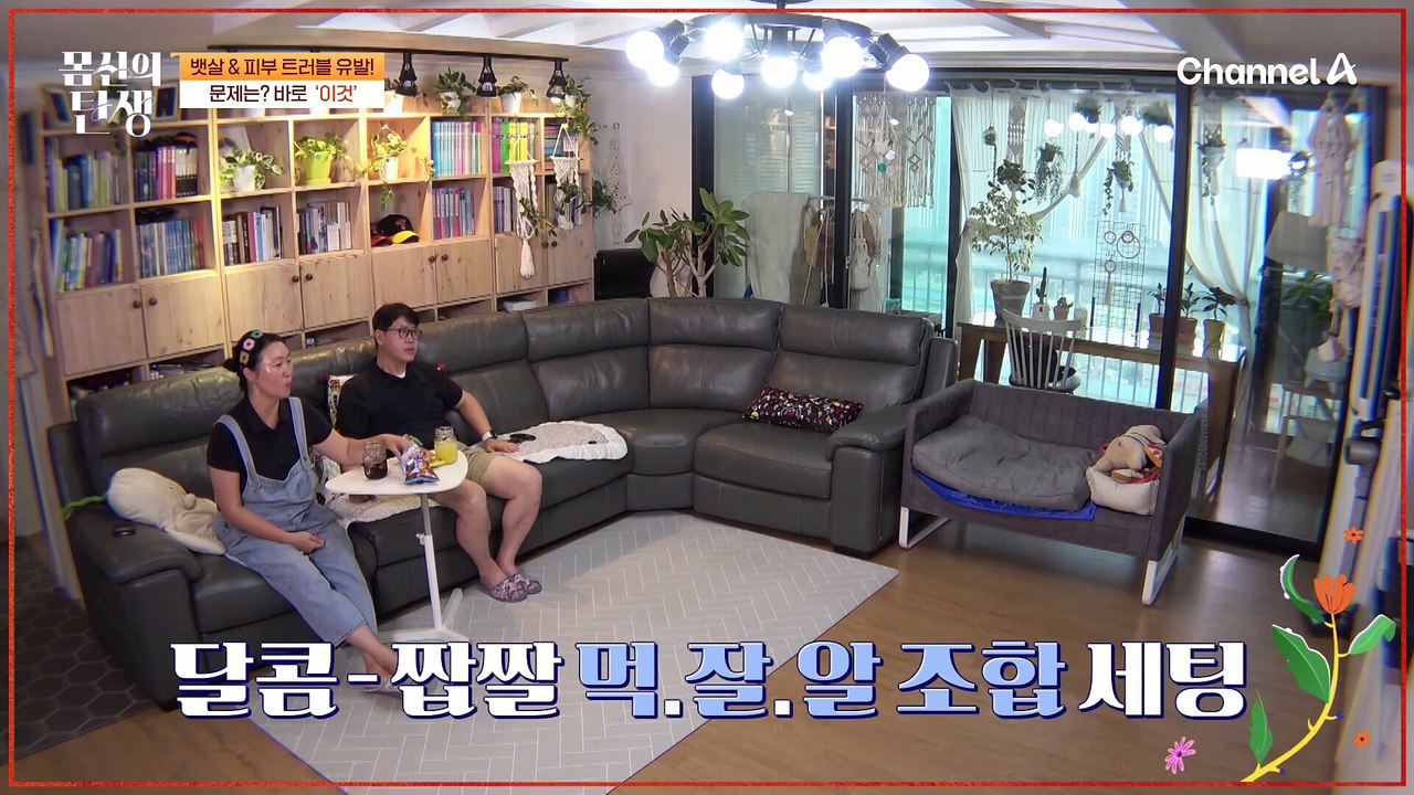 [#몸신의탄생] 단맛 중독 유발?! 마음 놓고 먹었던 대체당의 배신 #대체당 #다이어트