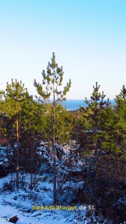 Sura Al Dhariat- einige Informationen