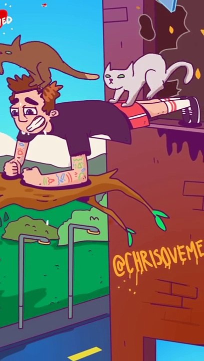 Cat's motivation what's game!