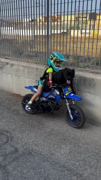 Dog Hops on Minibike and Rides With Boy