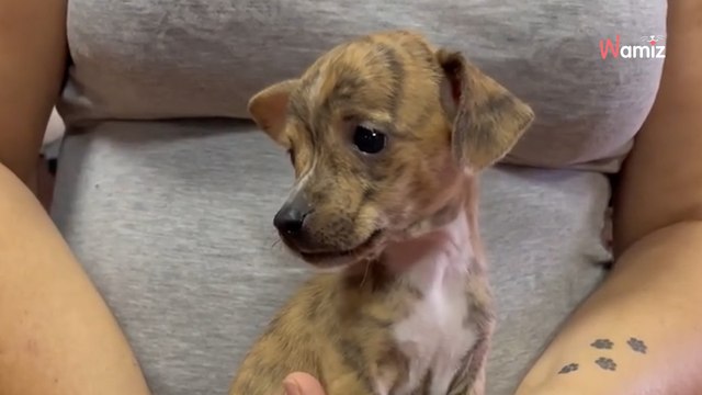 Lo último de Ramoncín levanta ampollas: Cualquier comentario inapropiado será bloqueado