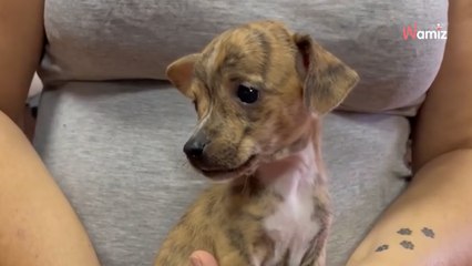 Lo último de Ramoncín levanta ampollas: "Cualquier comentario inapropiado será bloqueado"