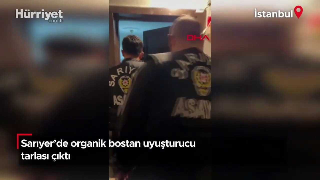 Sarıyer'de organik bostan uyuşturucu tarlası çıktı!