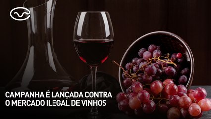 Campanha é lançada contra o mercado ilegal de vinhos