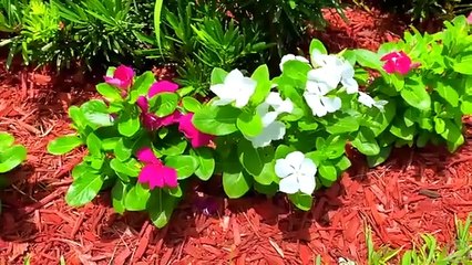Nastya and dad are learning the alphabet
