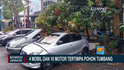 Pohon Mangga Timpa 10 Motor dan 4 Mobil di Duren Sawit