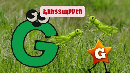 SING AND LEARN LETTER G WITH ITS VOCABULARY WORDS