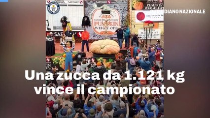 Una zucca da 1.121 kg vince il campionato