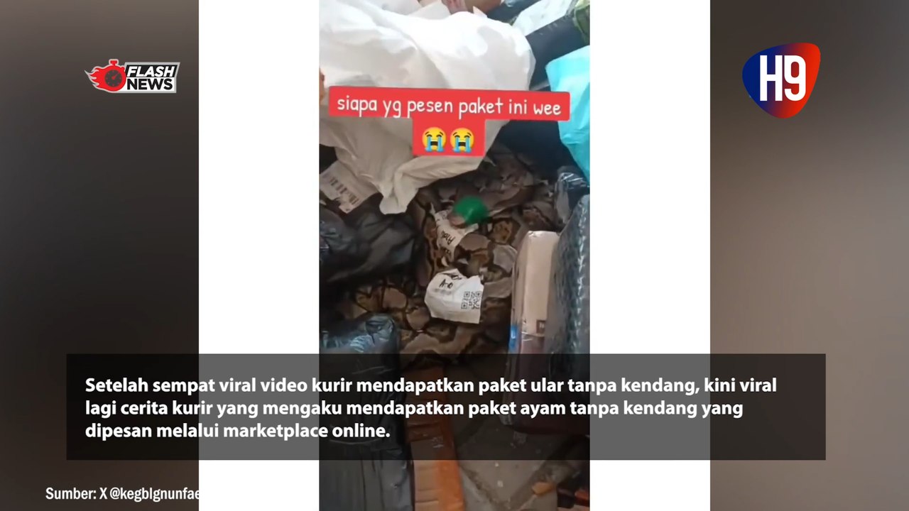 Setelah Viral Paket Ular Tanpa Kandang, Kini Ada Video Paket Berisi Ayam