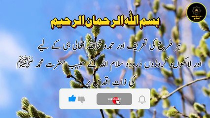 Seerat Un Nabi ﷺ Part 19