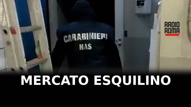 Mercato Esquilino tra sporcizia e insetti, fioccano multe