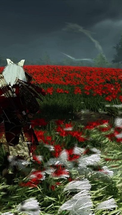 beauty ghost of tsushima