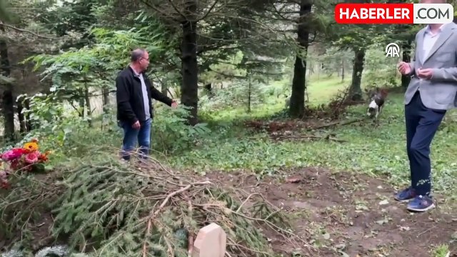 İstanbul'da ölen İngilizce öğretmeninin köpeği mezarının başından ayrılmıyor