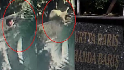 Cemevi önündeki Atatürk büstüne saldırı