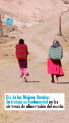 Día de las Mujeres Rurales Su trabajo es fundamental en los sistemade alimentación del mundo