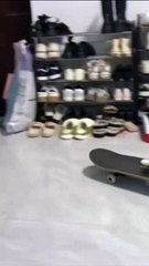 cat on skateboard fight another cat