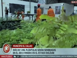 Bolívar | Gobierno Bolivariano y sector minero desarrollan plan para el cuidado del medioambiente
