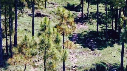 Beautifull view of mountains