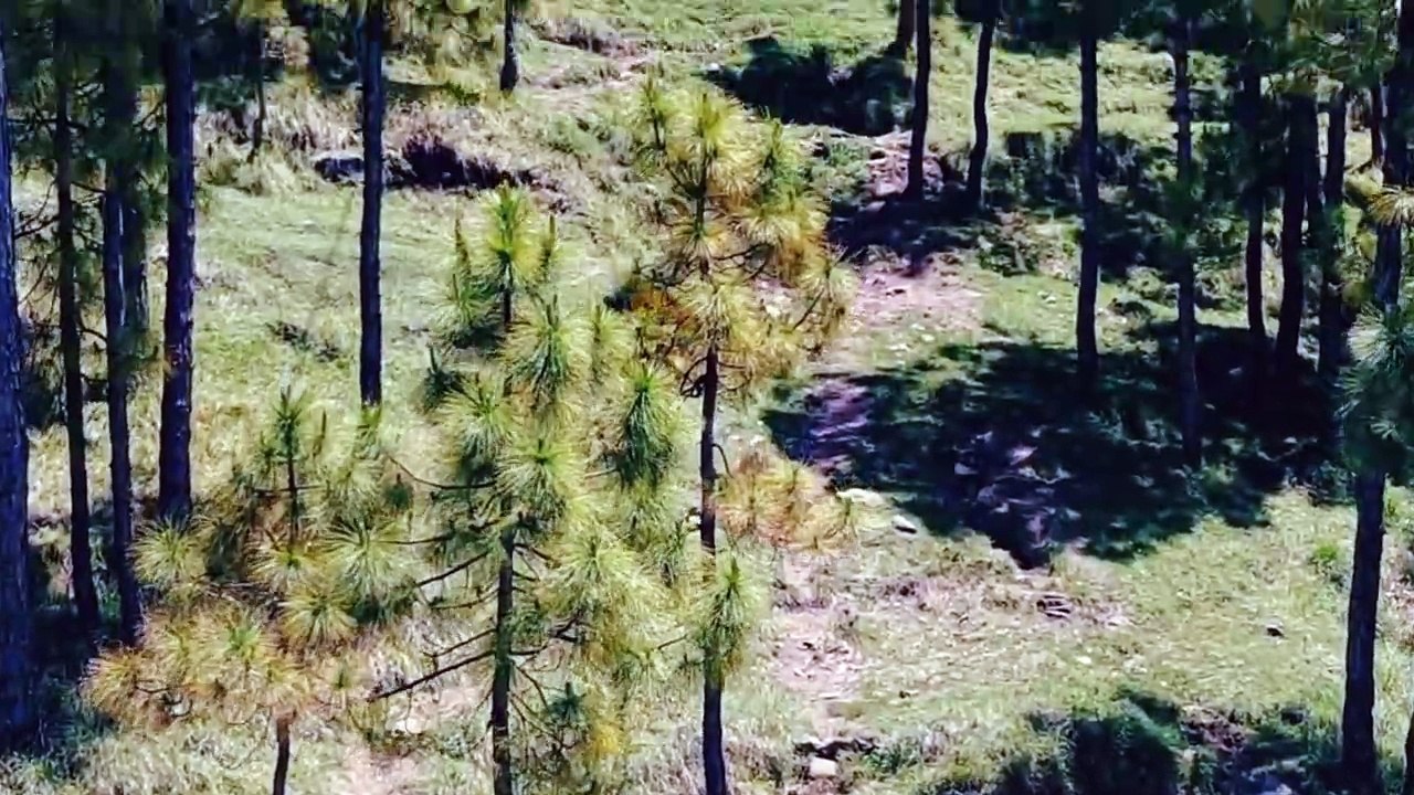 Beautifull view of mountains