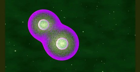 Aprenda a Multiplicar Células no Excel de Forma Fácil 📊