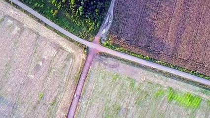 Desmatamento fragmenta a Amazônia e isola 23% de suas florestas, diz estudo