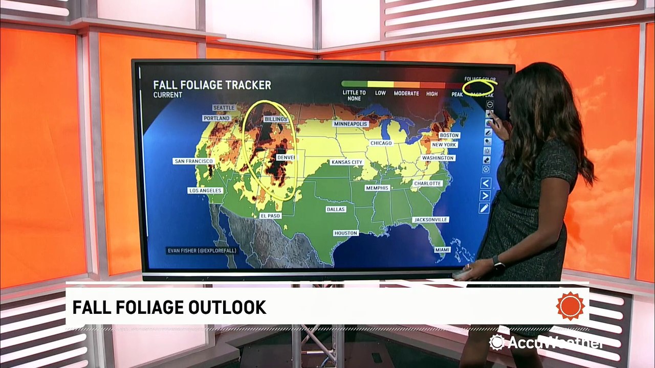 Your fall foliage forecast for mid-October