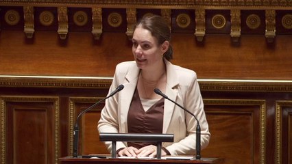 Olga Givernet défend une stratégie de compromis avec la majorité sénatoriale