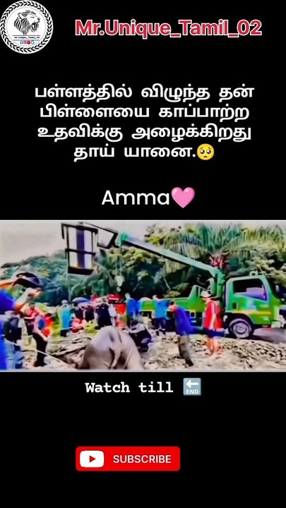 Amma
