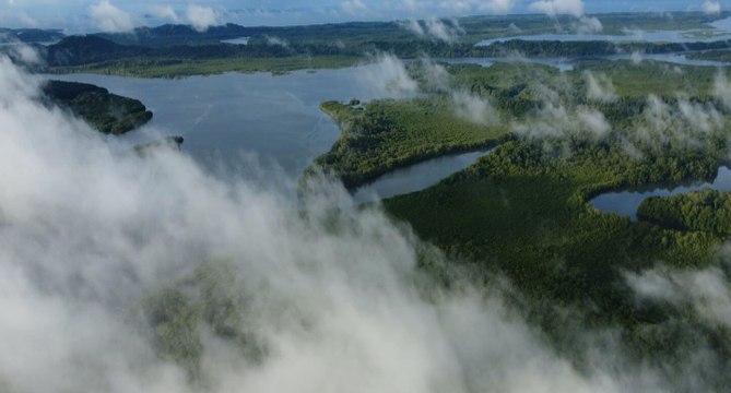 Ambientalistas realizan exposición sobre la conservación de manglares