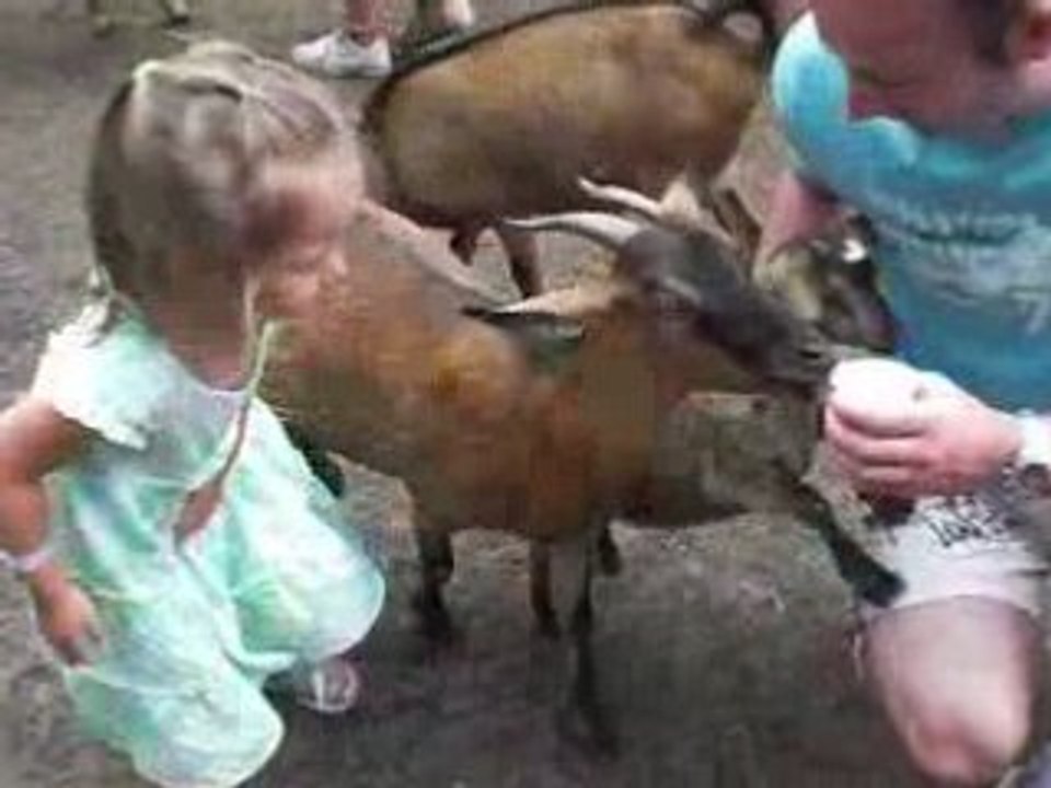 Guadeloupe - 11/04/2008 - Jardin Botanique à Deshaies